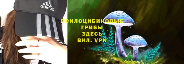 спайс Алексин
