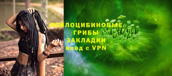 спайс Алексин